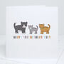 Personalised Cats Birthday Card, thumbnail 1 of 1