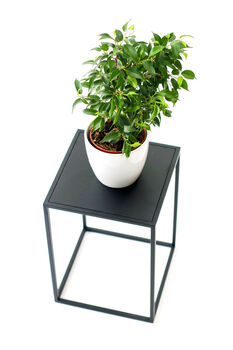 Square Pedestal Plant Stand, 3 of 9