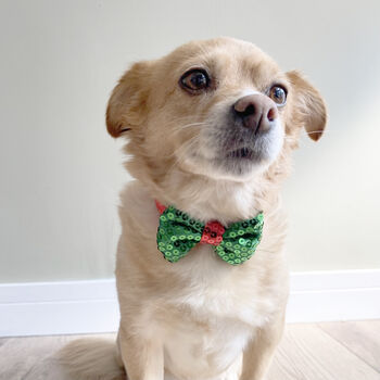 Festive Sequin Dog Bow Tie, 3 of 3