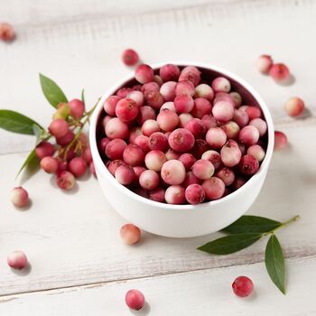 Fruit Plants Blueberry 'Pink Lemonade' One X 2 L Pot, 2 of 5