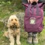 Personalised Made For Adventure Dog Lover Backpack, thumbnail 1 of 12