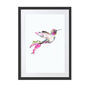Pink Hummingbird Wildlife Botanical Art Print, thumbnail 2 of 3