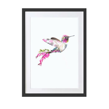 Pink Hummingbird Wildlife Botanical Art Print, 2 of 3