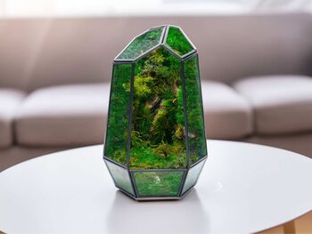 Large Geometric Terrarium | 'Boa Vista', 3 of 4