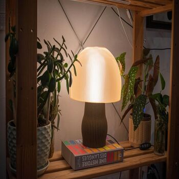 Shroomé Amber A Warm, Modern And Elegant Mushroom3 D, 2 of 10