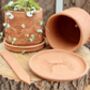 Indian Block Terracotta Planter And Drip Tray, thumbnail 4 of 5