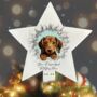 Personalised Christmas Dachshund Break Through, thumbnail 7 of 10