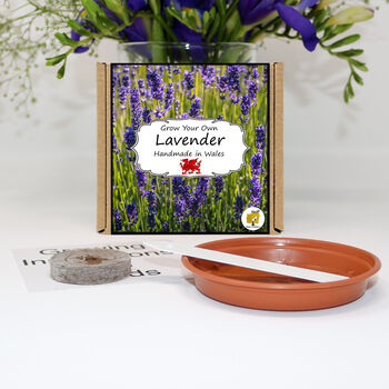 Gardening Gift. Lavender Flowers Growing Kit, 2 of 4