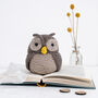 Minerva Owl Easy Knitting Kit, thumbnail 1 of 10