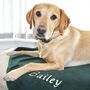 Personalised Embroidered Pet Blanket, thumbnail 6 of 12