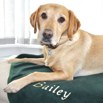 Personalised Embroidered Pet Blanket, 6 of 12