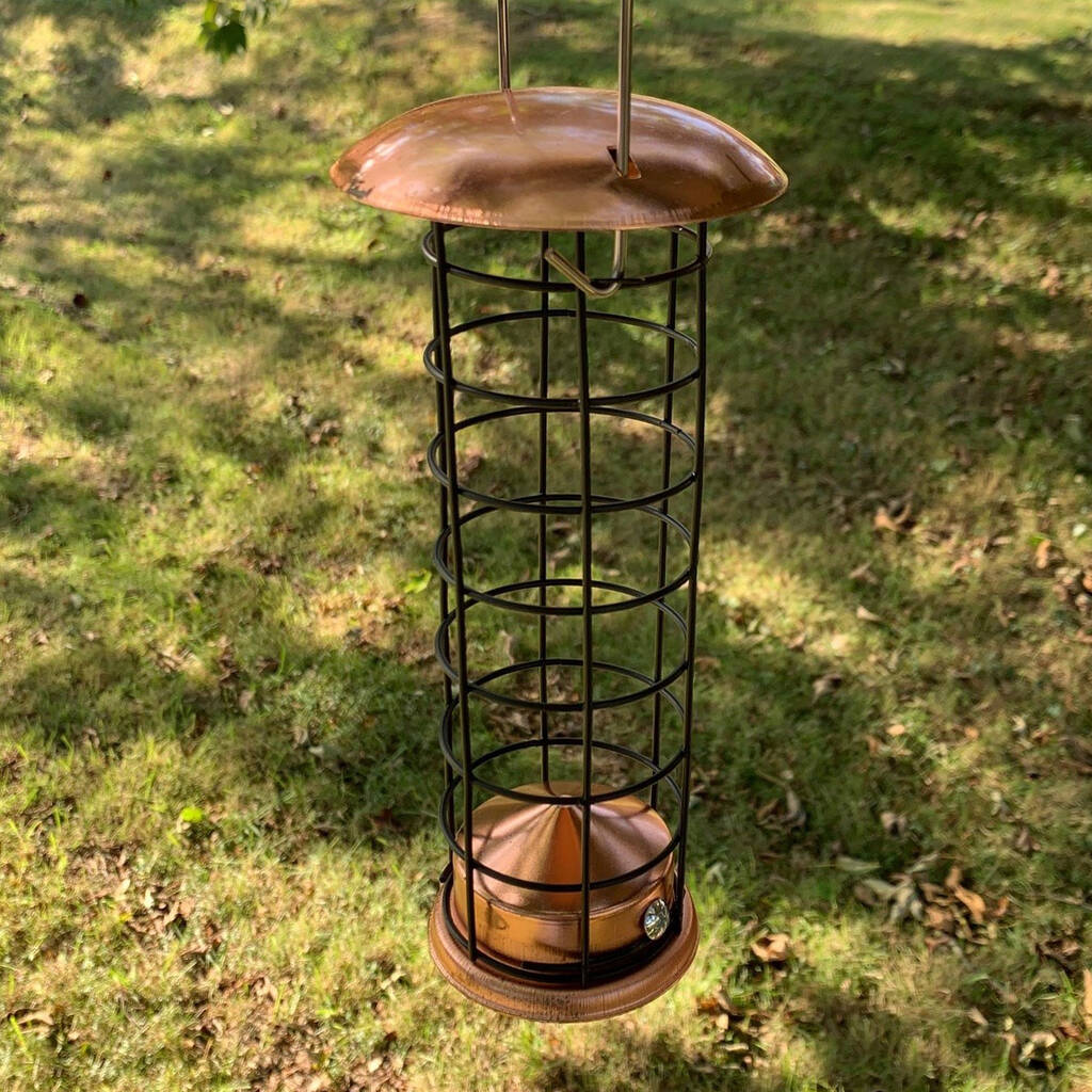 Wareham Copper Bird Suet Fat Ball Feeder By Garden Selections