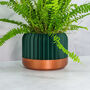 Forest Trilinear Planter, thumbnail 4 of 4