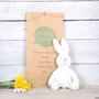 Organic Bunny Rabbit With Personalised Gift Bag, thumbnail 1 of 3
