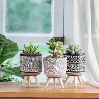 Set Of Three Artificial Succulent Plant In Ceramic Pot, 3 of 4