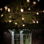 Copper LED Wire Filled Festoon Lights, thumbnail 3 of 3