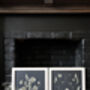 Daisy Haze Botanical Wall Art – A3 Pressed Flower Frame In Sand, thumbnail 3 of 7