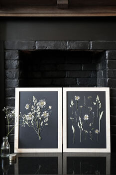 Daisy Haze Botanical Wall Art – A3 Pressed Flower Frame In Sand, 3 of 7