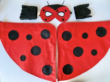 Felt Ladybird Costume For Children And Adults, 2 of 9