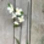 Two Stems Of White Wildflower Sculptures Art050wht, thumbnail 8 of 11