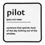 'Pilot' Dictionary Sign, thumbnail 1 of 2