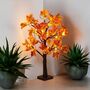 LED Warm White Light Up Maple Leaf Autumn Tree, thumbnail 8 of 9