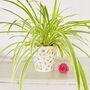 Floral Ceramic Plant Pot, thumbnail 1 of 3