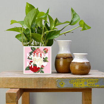'Mummy' Mother's Day Plant Pot And Houseplant, 5 of 7