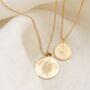 Ridley Turtle Gold Plated Coin Pendant, thumbnail 2 of 5
