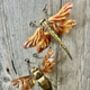 Copper Dragonfly Wall Hanging – Handmade Garden Wall Art – Outdoor Copper Sculpture, thumbnail 5 of 5