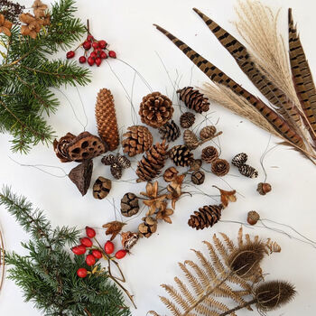Autumn And Winter Diy Wreath Making Kit, 4 of 6