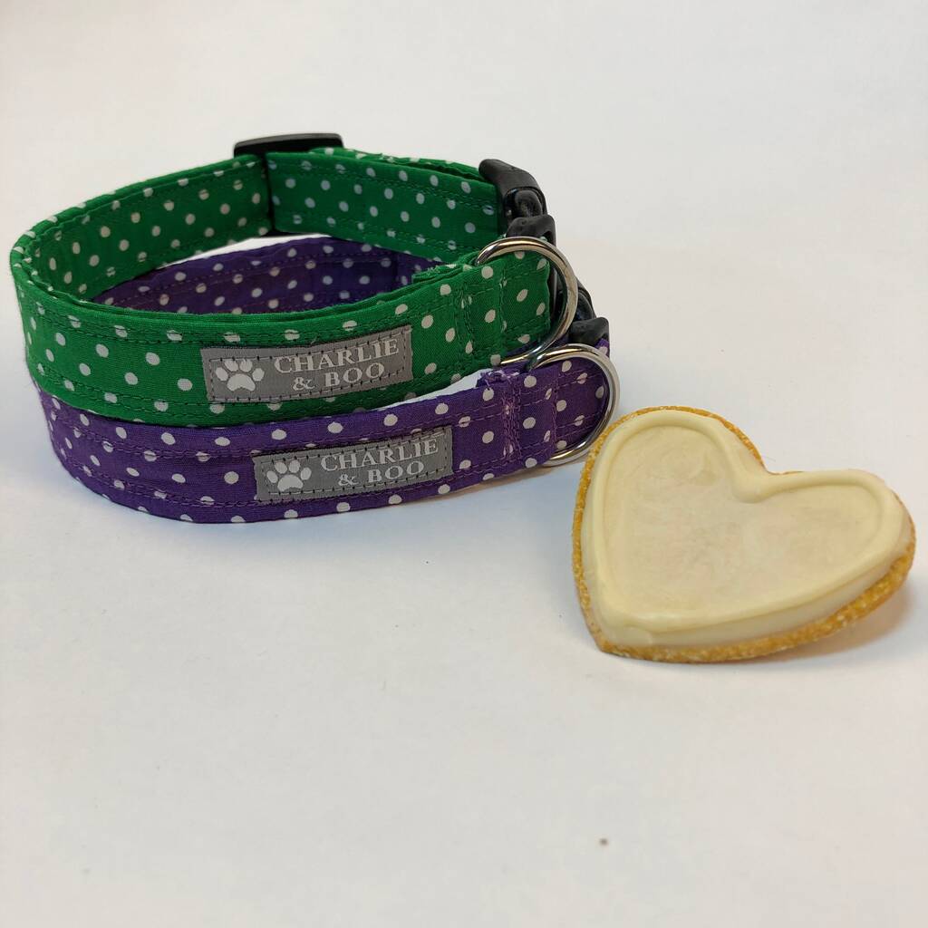 purple dog collars