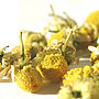 Camomile Infusion 50g, thumbnail 1 of 3
