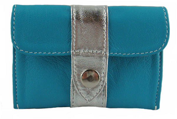 travel blue coin purse