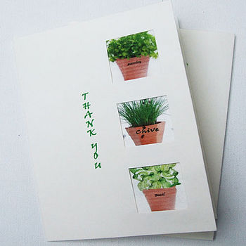 3 Herb Seeds in a  "Thank you", 2 of 3