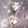 Rose Fairy Lights, thumbnail 5 of 5