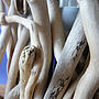 Driftwood Twig Lamp, thumbnail 3 of 4