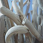 Driftwood Twig Lamp, thumbnail 4 of 4