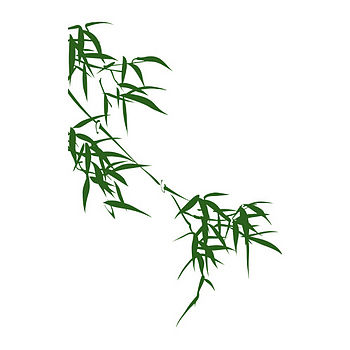 Bamboo Wall Sticker, 2 of 3