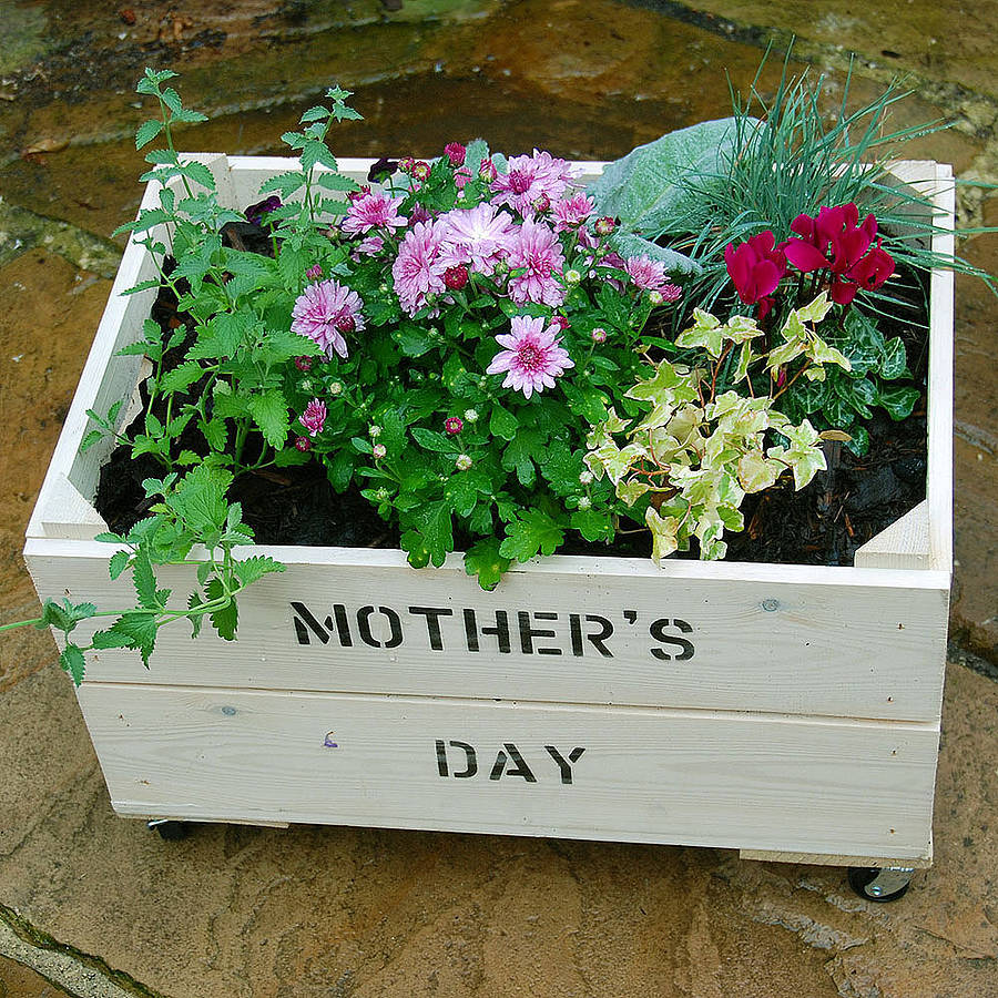 Personalised Crate Planted with Seasonal Flowers By Plantabox