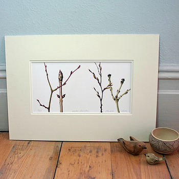 'Winter Branches' Limited Edition Print, 3 of 5