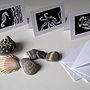 Set Of Three Under The Sea Greeting Cards, thumbnail 1 of 4