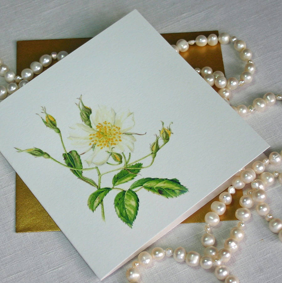 Rambling Rose Wedding Day Card By The Botanical Concept Rambling Rose Wedding Day Card
