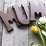 Super Large Chocolate Letter, thumbnail 3 of 8