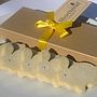 Easter Bunny Shortbread Biscuit Box, thumbnail 2 of 5