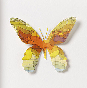 Nine Personalised Map Location Butterfly Wall Art, 9 of 10