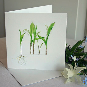 'Lily Of The Valley' Flower Card, 3 of 5