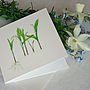 'Lily Of The Valley' Flower Card, thumbnail 4 of 5