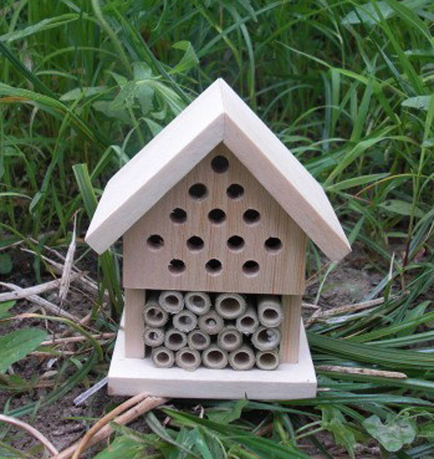Make Your Own Insect House By Boxwood