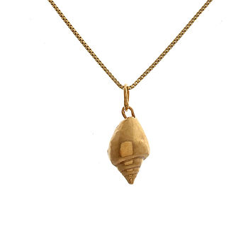 Gold Mousehole Shell Necklace, 2 of 3